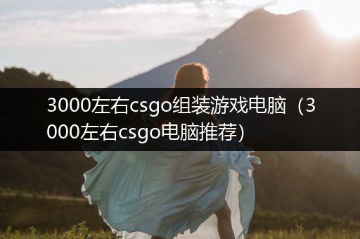 3000左右csgo组装游戏电脑（3000左右csgo电脑推荐）