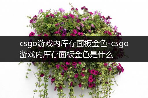 csgo游戏内库存面板金色-csgo游戏内库存面板金色是什么