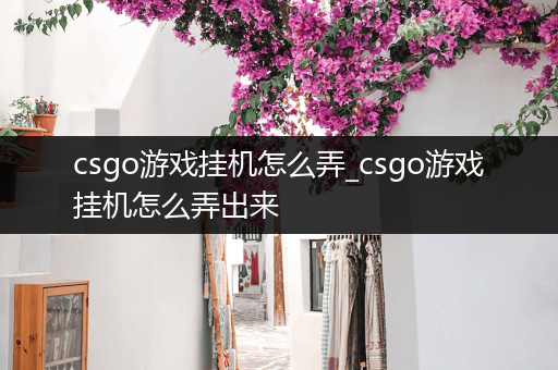 csgo游戏挂机怎么弄_csgo游戏挂机怎么弄出来