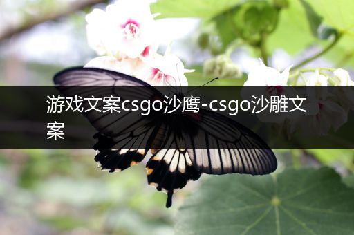 游戏文案csgo沙鹰-csgo沙雕文案