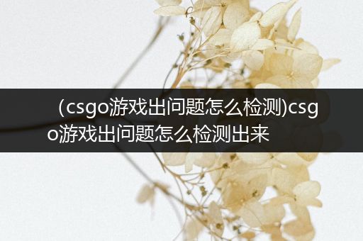 （csgo游戏出问题怎么检测)csgo游戏出问题怎么检测出来