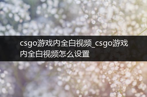 csgo游戏内全白视频_csgo游戏内全白视频怎么设置