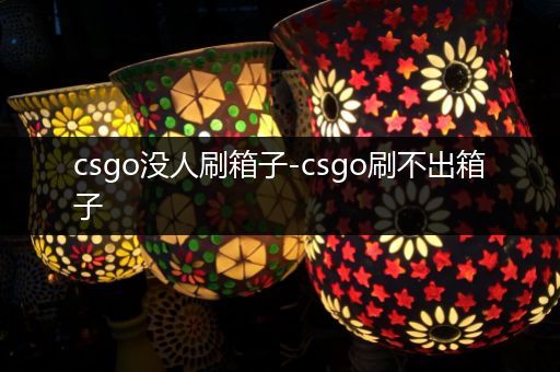 csgo没人刷箱子-csgo刷不出箱子