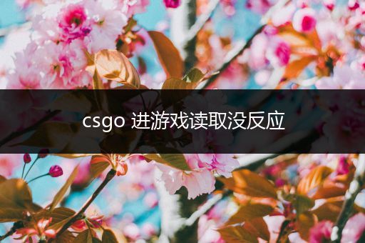 csgo 进游戏读取没反应