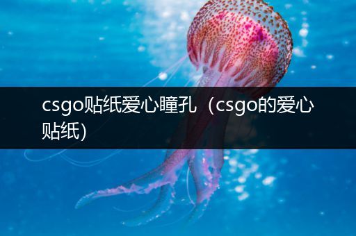 csgo贴纸爱心瞳孔（csgo的爱心贴纸）