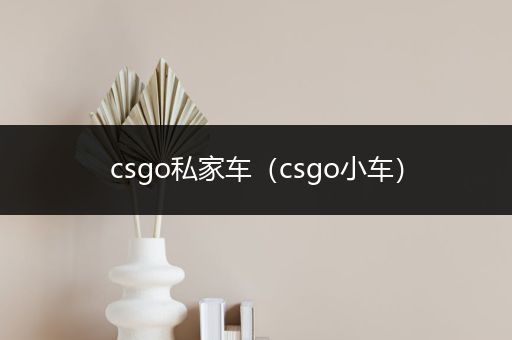 csgo私家车（csgo小车）