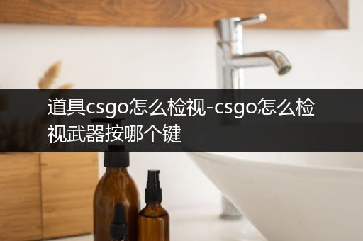 道具csgo怎么检视-csgo怎么检视武器按哪个键