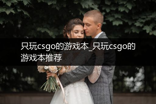 只玩csgo的游戏本_只玩csgo的游戏本推荐