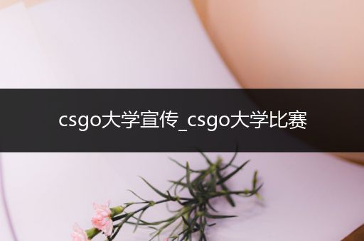 csgo大学宣传_csgo大学比赛