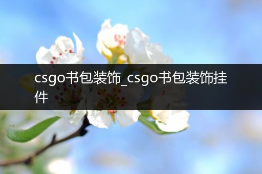 csgo书包装饰_csgo书包装饰挂件