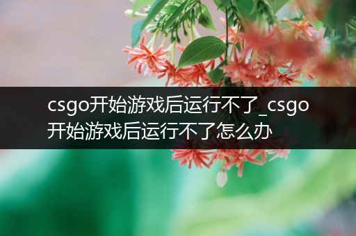 csgo开始游戏后运行不了_csgo开始游戏后运行不了怎么办