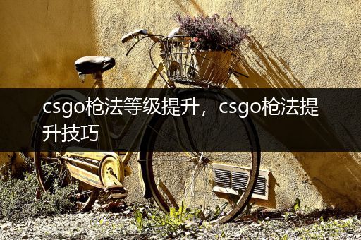 csgo枪法等级提升，csgo枪法提升技巧