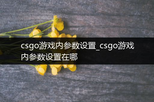 csgo游戏内参数设置_csgo游戏内参数设置在哪