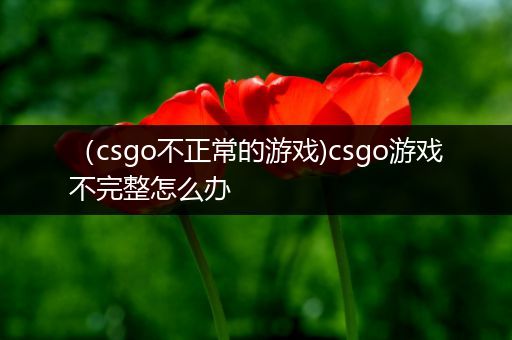 （csgo不正常的游戏)csgo游戏不完整怎么办