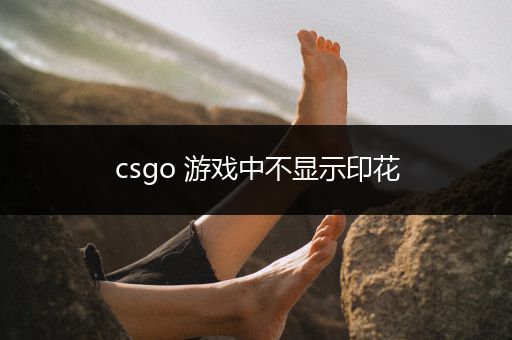 csgo 游戏中不显示印花