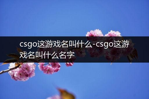 csgo这游戏名叫什么-csgo这游戏名叫什么名字