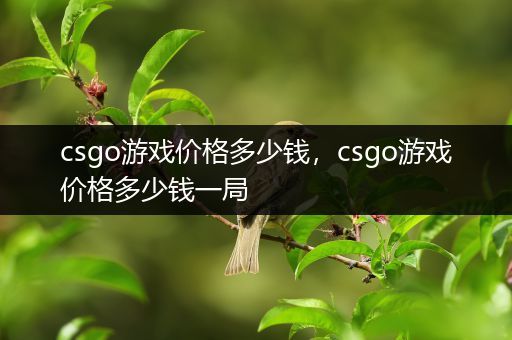 csgo游戏价格多少钱，csgo游戏价格多少钱一局