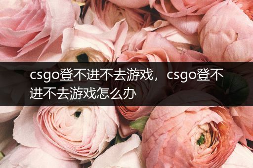 csgo登不进不去游戏，csgo登不进不去游戏怎么办