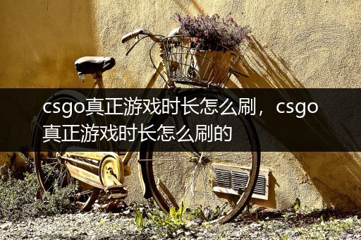 csgo真正游戏时长怎么刷，csgo真正游戏时长怎么刷的