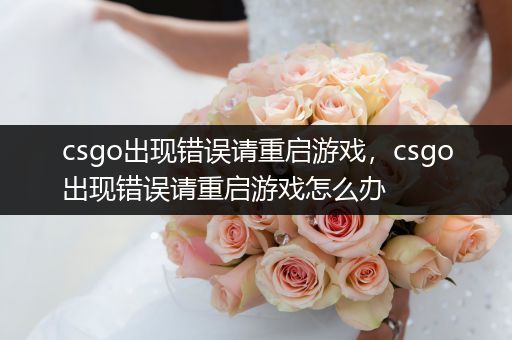 csgo出现错误请重启游戏，csgo出现错误请重启游戏怎么办