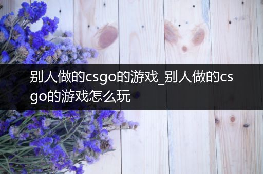 别人做的csgo的游戏_别人做的csgo的游戏怎么玩