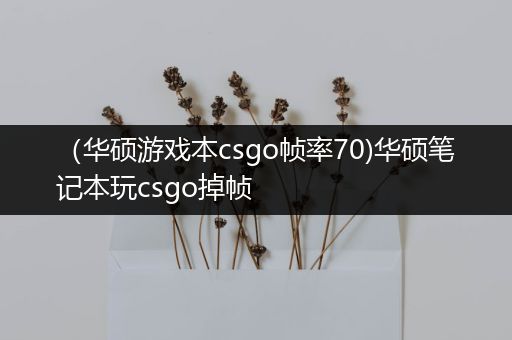 （华硕游戏本csgo帧率70)华硕笔记本玩csgo掉帧