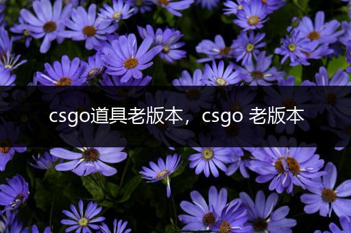 csgo道具老版本，csgo 老版本