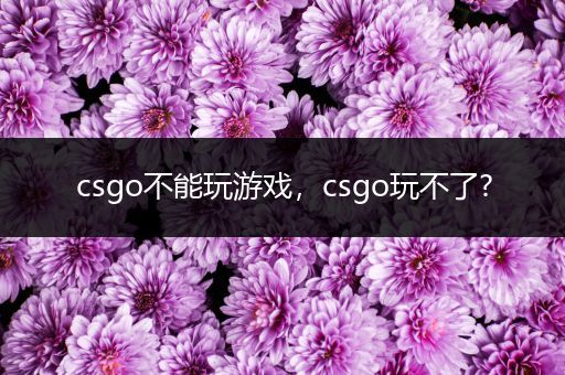 csgo不能玩游戏，csgo玩不了?