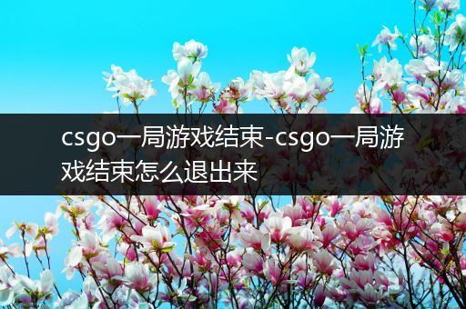 csgo一局游戏结束-csgo一局游戏结束怎么退出来