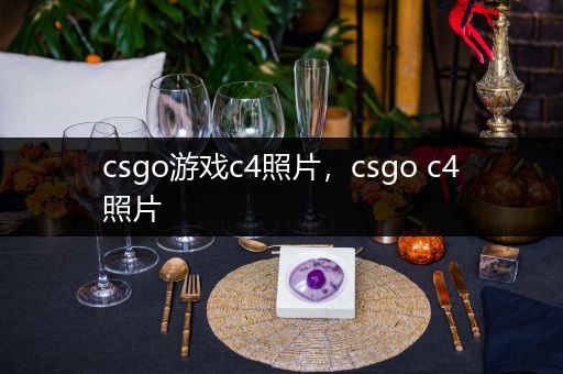 csgo游戏c4照片，csgo c4照片