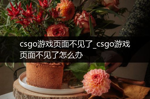csgo游戏页面不见了_csgo游戏页面不见了怎么办