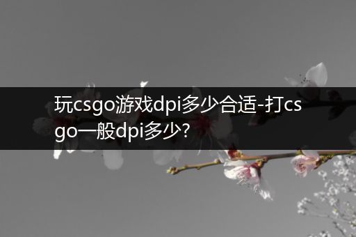 玩csgo游戏dpi多少合适-打csgo一般dpi多少?