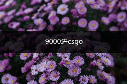 9000进csgo