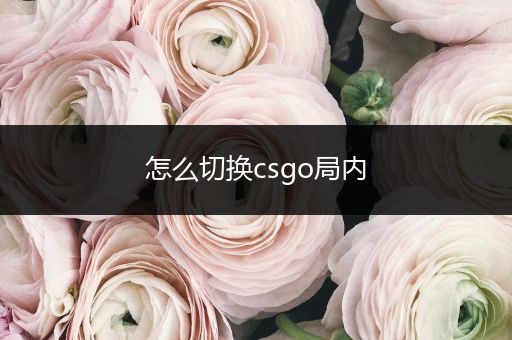 怎么切换csgo局内