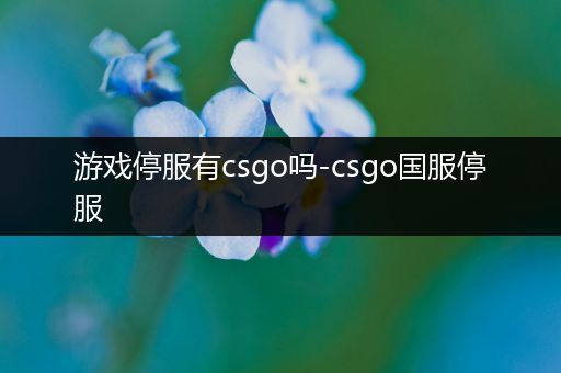 游戏停服有csgo吗-csgo国服停服