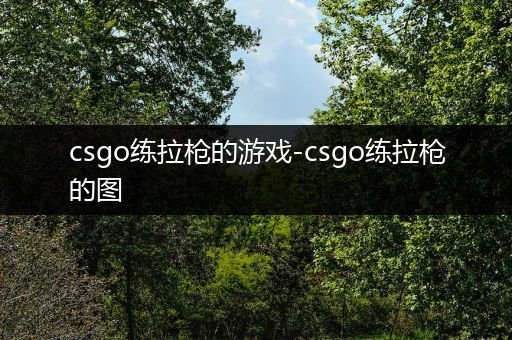 csgo练拉枪的游戏-csgo练拉枪的图