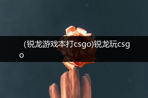 （锐龙游戏本打csgo)锐龙玩csgo