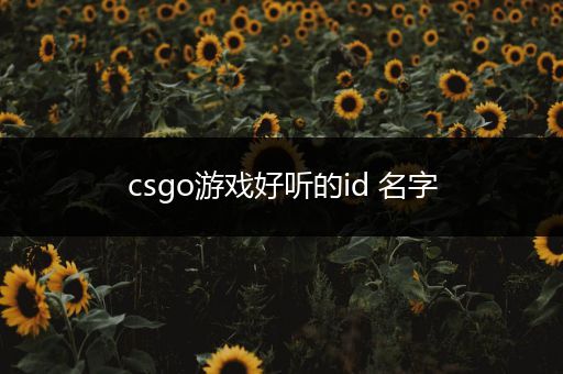 csgo游戏好听的id 名字