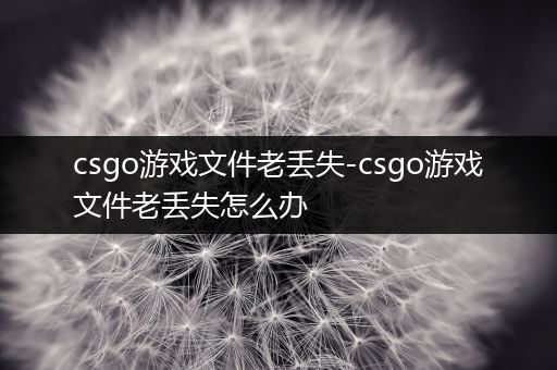 csgo游戏文件老丢失-csgo游戏文件老丢失怎么办