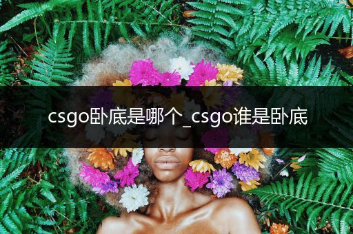 csgo卧底是哪个_csgo谁是卧底
