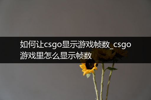 如何让csgo显示游戏帧数_csgo游戏里怎么显示帧数