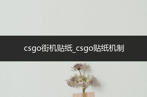 csgo街机贴纸_csgo贴纸机制