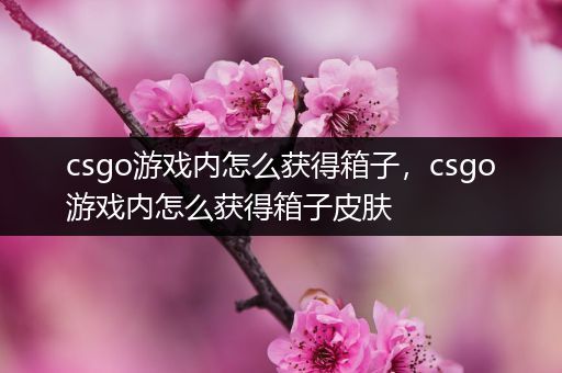 csgo游戏内怎么获得箱子，csgo游戏内怎么获得箱子皮肤
