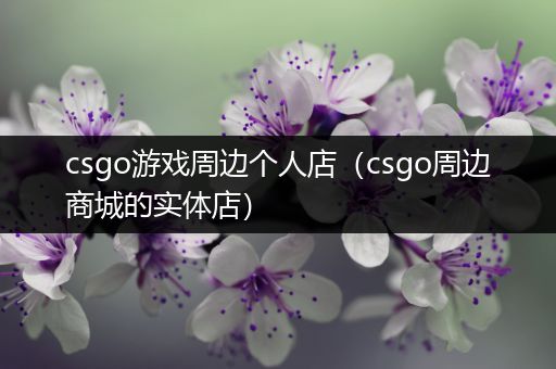 csgo游戏周边个人店（csgo周边商城的实体店）