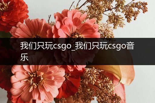 我们只玩csgo_我们只玩csgo音乐