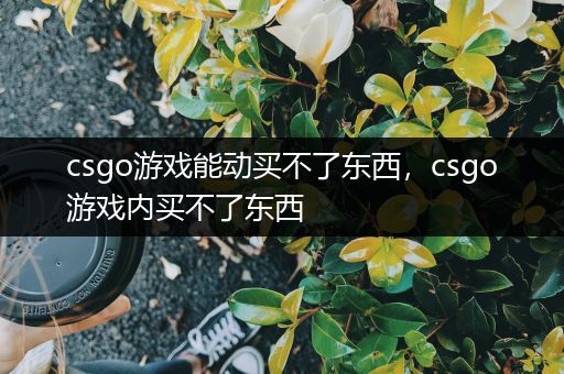 csgo游戏能动买不了东西，csgo游戏内买不了东西