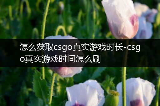 怎么获取csgo真实游戏时长-csgo真实游戏时间怎么刷