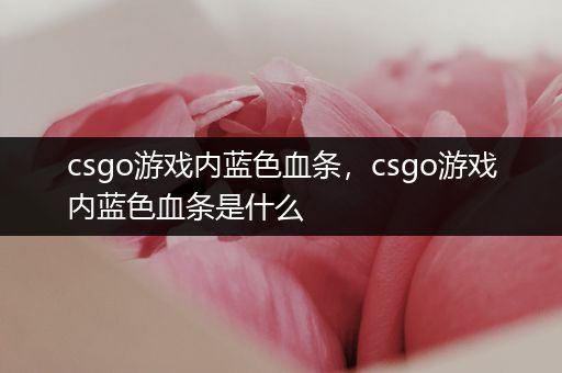 csgo游戏内蓝色血条，csgo游戏内蓝色血条是什么