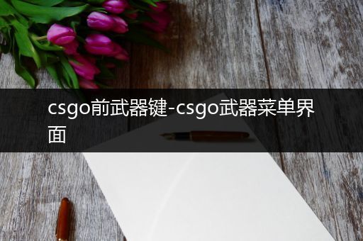csgo前武器键-csgo武器菜单界面