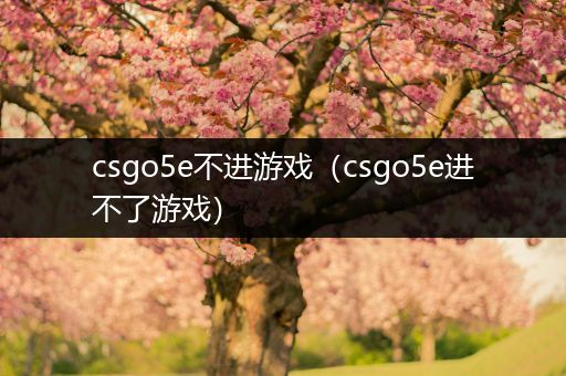 csgo5e不进游戏（csgo5e进不了游戏）